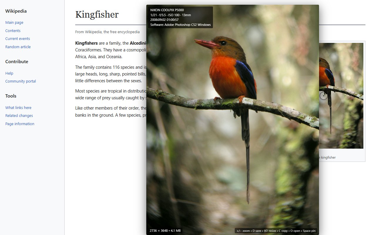Same kingfisher preview with the EXIF panel showing NIKON COOLPIX P5000, 1/21 f/3.5 ISO 100 13mm, date, and Adobe Photoshop CS2 Windows